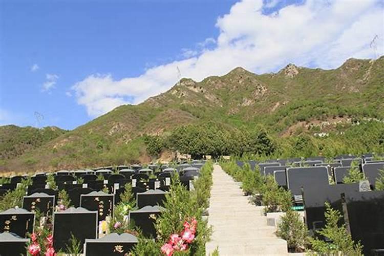 在山坡上选墓地什么位置好