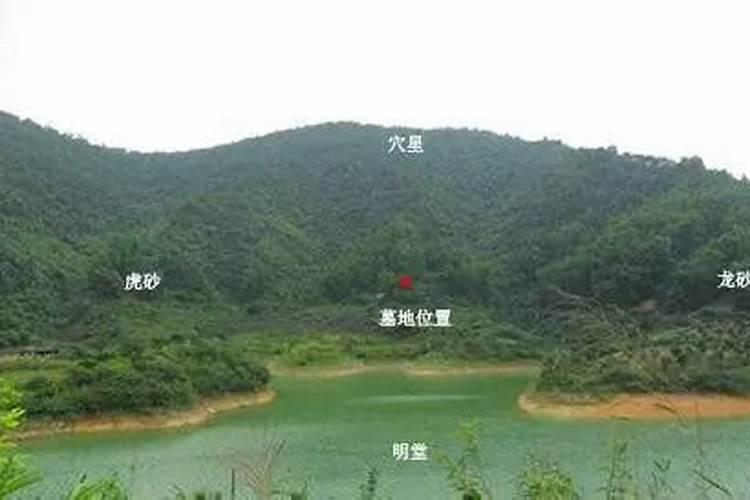 怎么看左青龙右白虎 龙虎是指什么