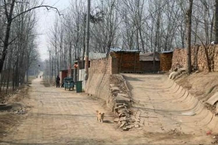 长春算命蕞准的地方