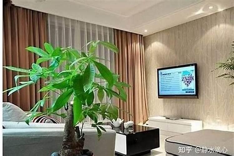 五个有助于身体健康的风水布局