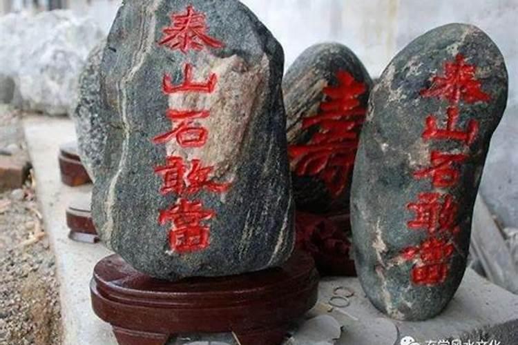 室内幸福树怎么养才能更旺盛