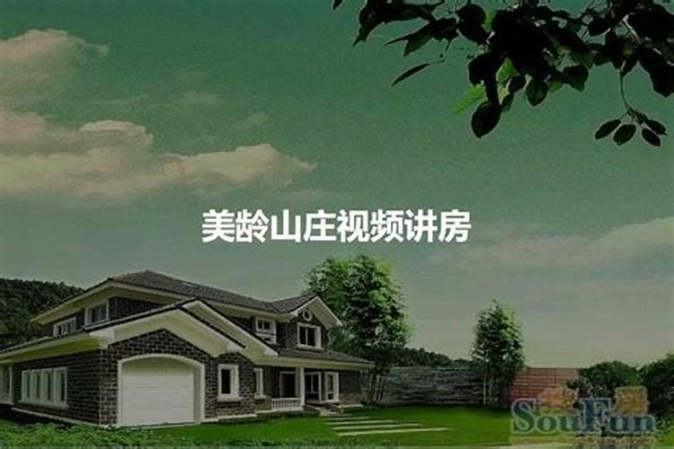 蒙古烤羊排菜系介绍
