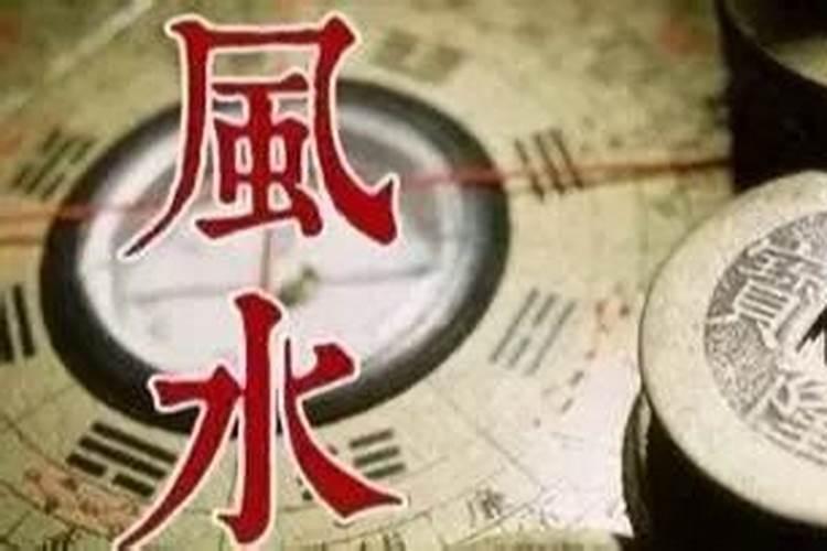 李居明的人物经历