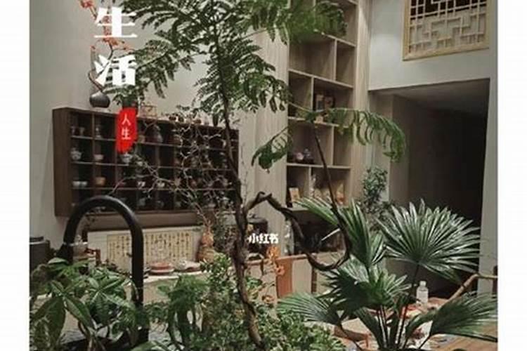 茶馆养什么鱼最旺财
