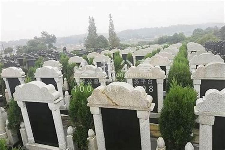 墓地风水有科学依据吗,墓地风水可信吗？