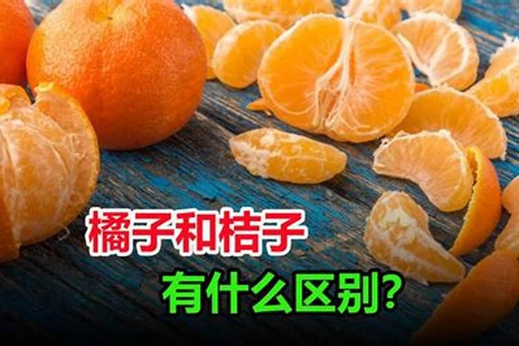 公房里种什么果树最旺宅