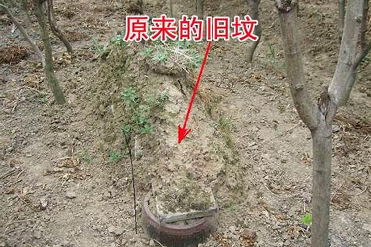 好阴宅风水多少年能成