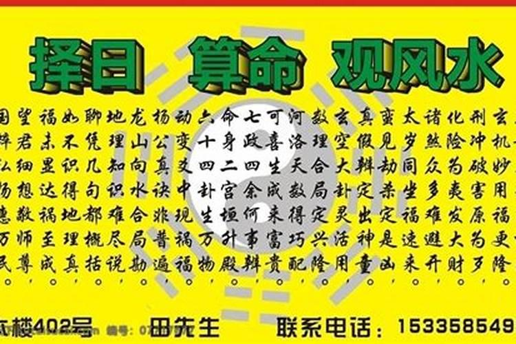 仙人掌适合放办公室吗 放什么位置风水好