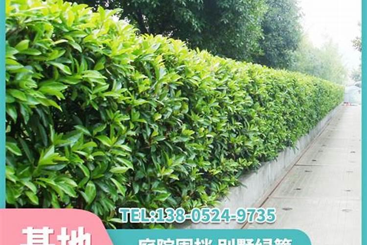 八字看住宅风水布局技法