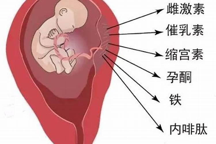孕妇可以佩戴貔貅吗
