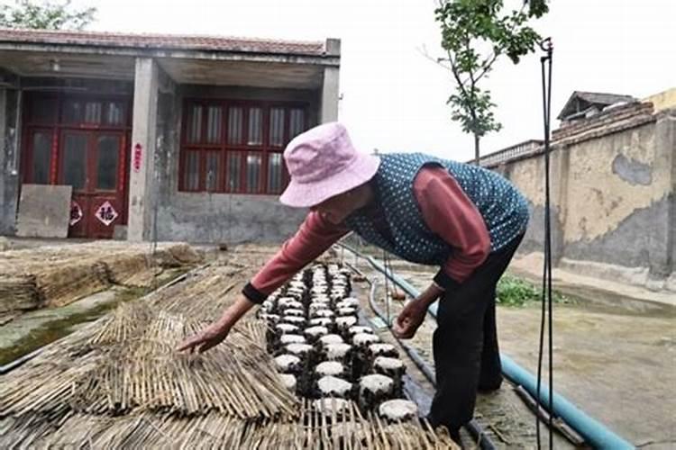问下家里菩萨和佛祖的摆放位置