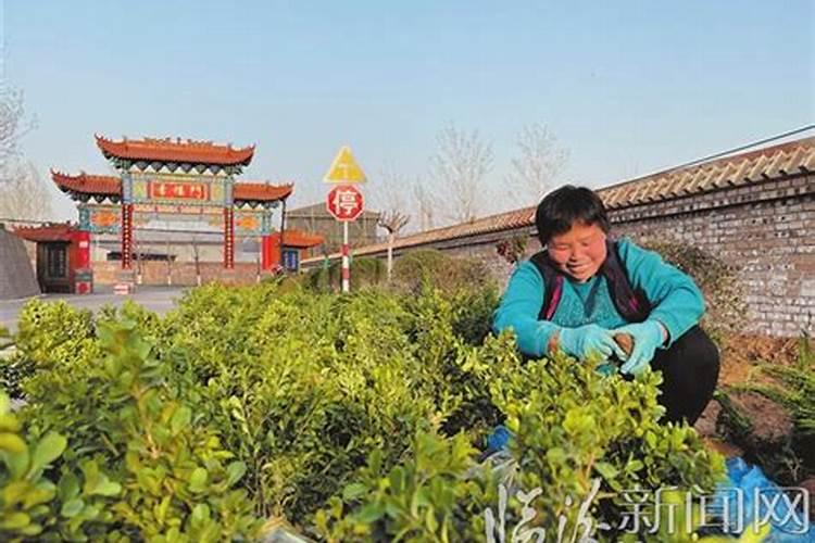 道家最讲求的是什么？修道为的是什么？