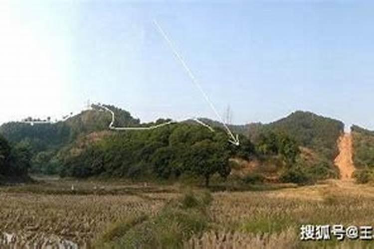 想系统自学风水,求有大师教我先看哪本书,再看哪本书。。
