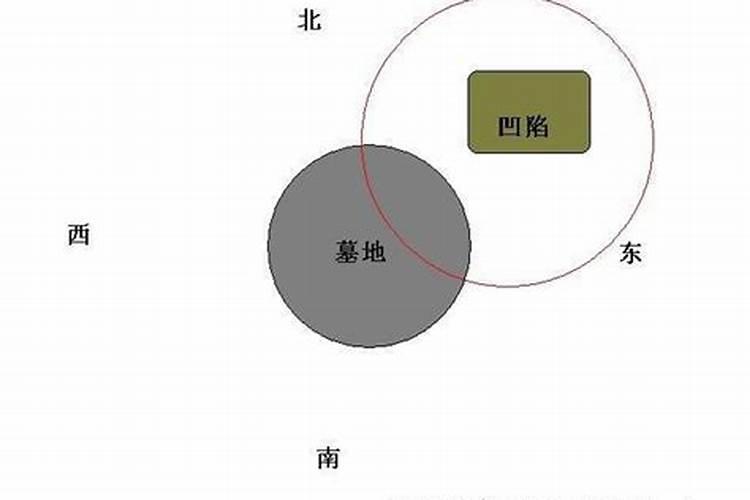 别墅门前种什么树风水好