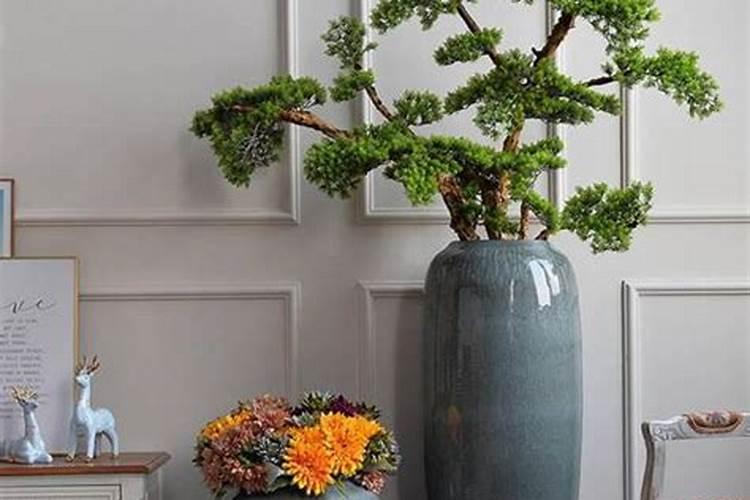 花盆放什么最旺风水呢