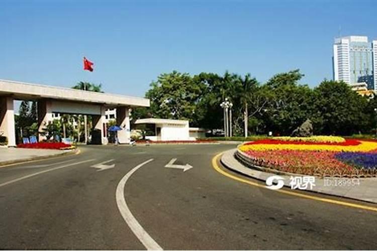 陈彦雄主要经历