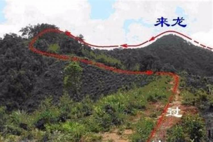女性办公室可以放茶台吗
