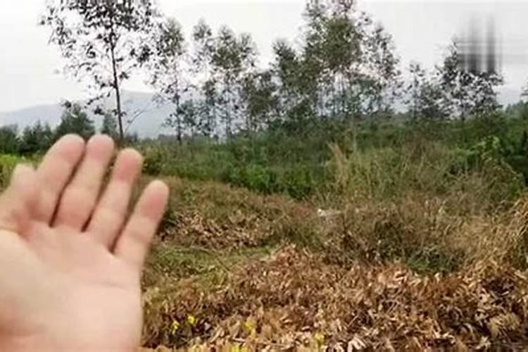 大门口放鞋子是害人的真的吗对门门口放鞋怎样破解