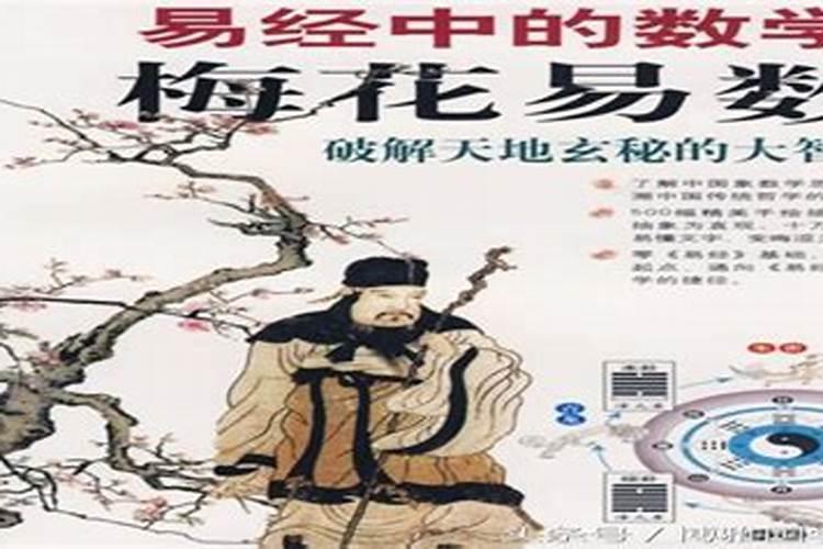 叶茂然个人简介、叶茂然培训讲师、叶茂然培训课程