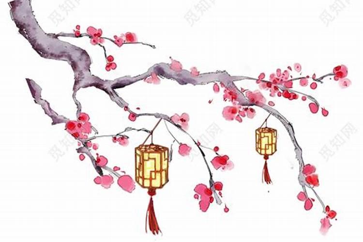 梅花可不可以挂在客厅 来这里看答案了