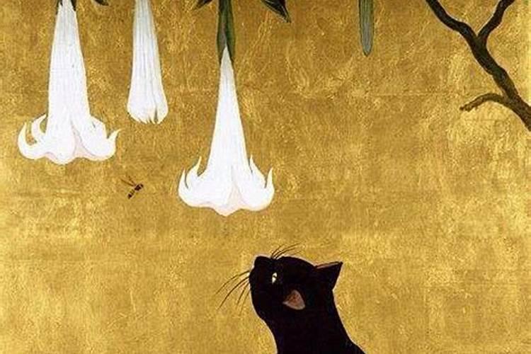 晚上看到黑猫预示着什么