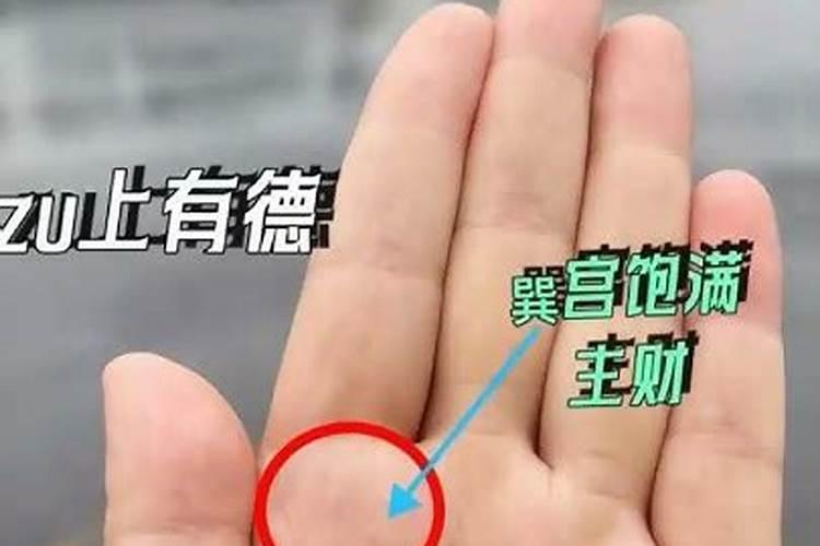 感情线型假断掌 没有生命线 左手 ,右手川字掌 有什么意思？