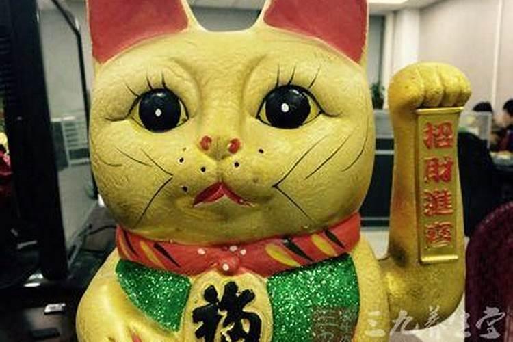家里易放招财猫吗,放在哪比较适合