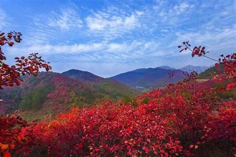 窗前见什么地方才算吉利 好的家居风水帮你趋吉避凶