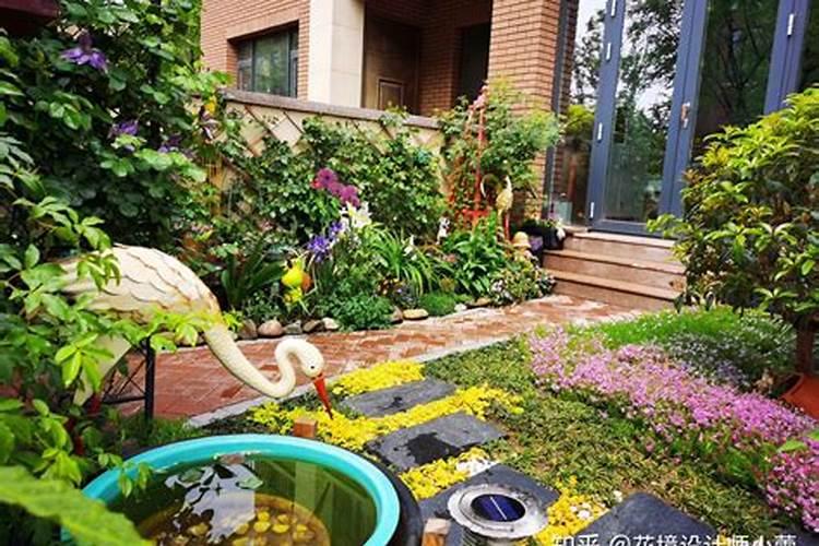 院子种什么植物风水好