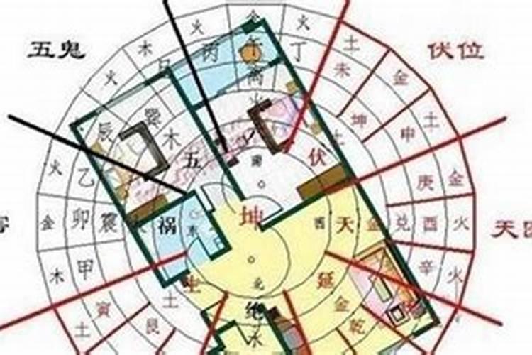 在自己楼顶上栽树风水怎么样 楼顶栽什么植物风水好