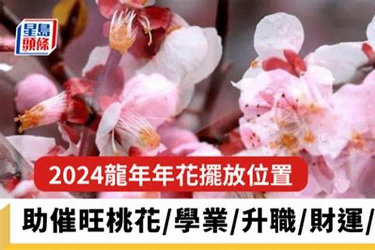 植物风水中 一到十根富贵竹的寓意是什么