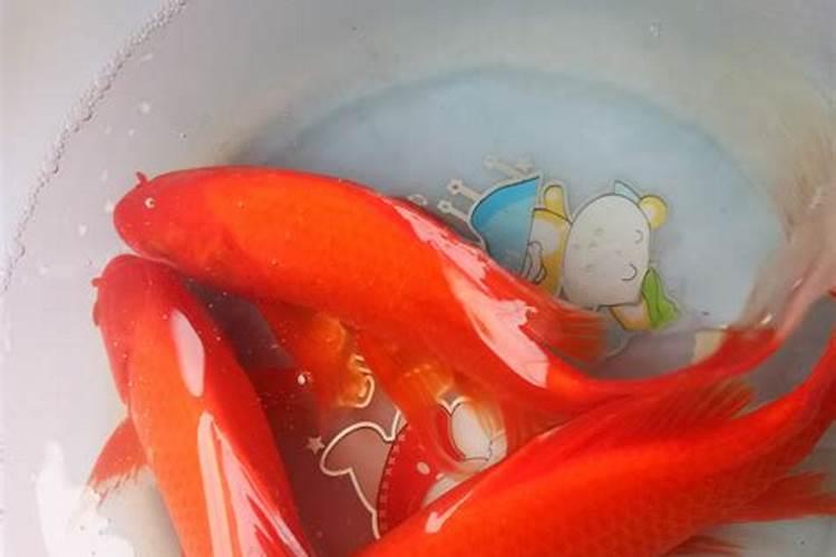旺人丁的阴宅风水 什么样的墓地风水好旺儿女