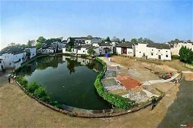 家里放什么东西能发财 家里摆放什么可招财的呢