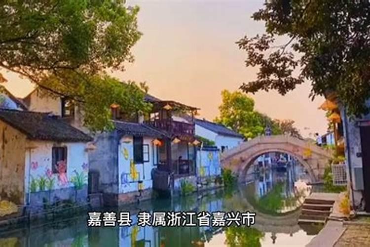 坟墓里有蛇代表什么,坟墓里有蛇风水好吗