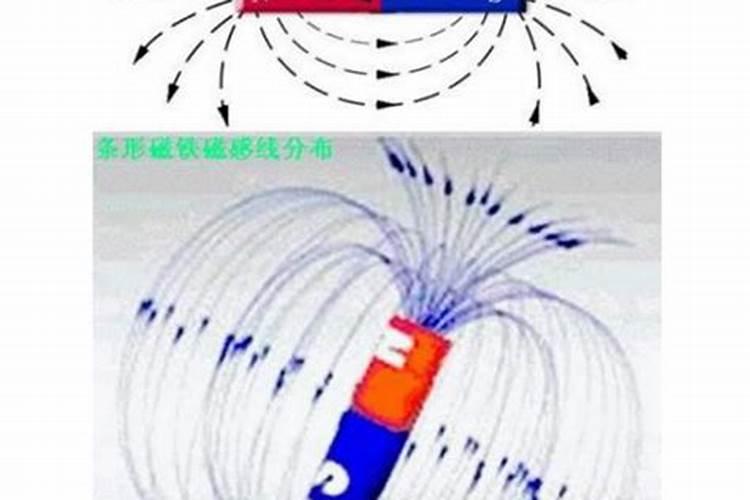 客厅摆什么花高端大气有格调
