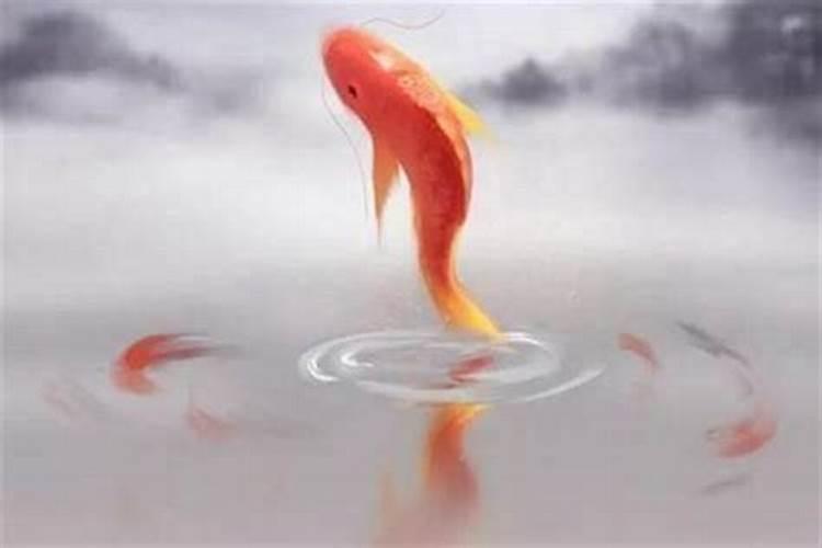 风水局有哪些