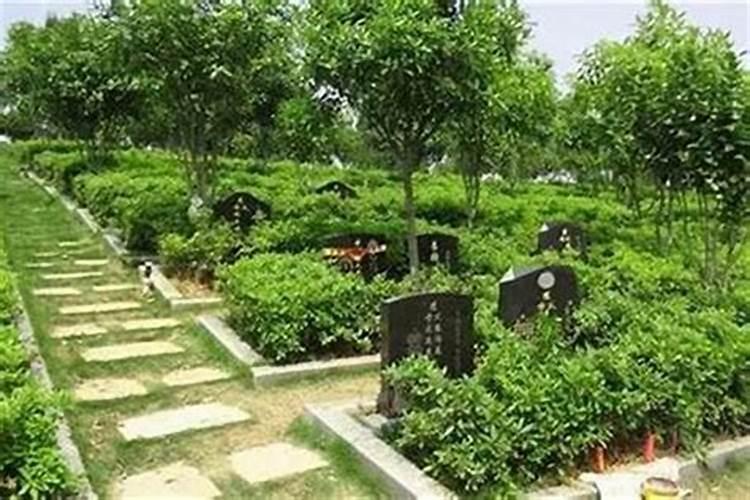 ...看风水多少钱？厦门风水大师排名？介绍一个厦门风水大师？