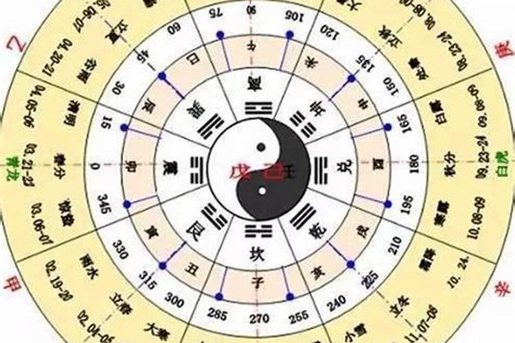 门口放什么花比较好 门口放什么花招财