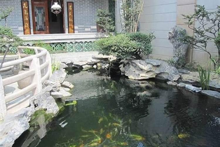 门前鱼池风水
