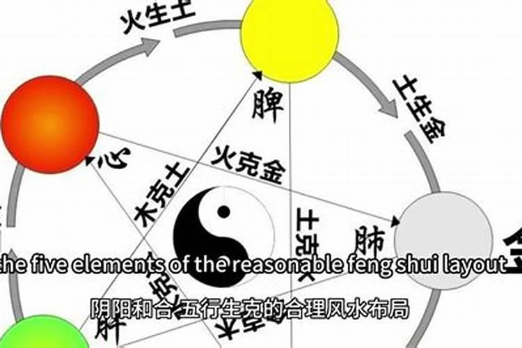 葵花代表什么象征意义