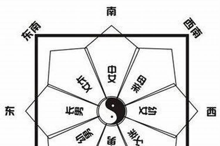 住宅风水树有哪几种 住宅风水树对住宅的影响