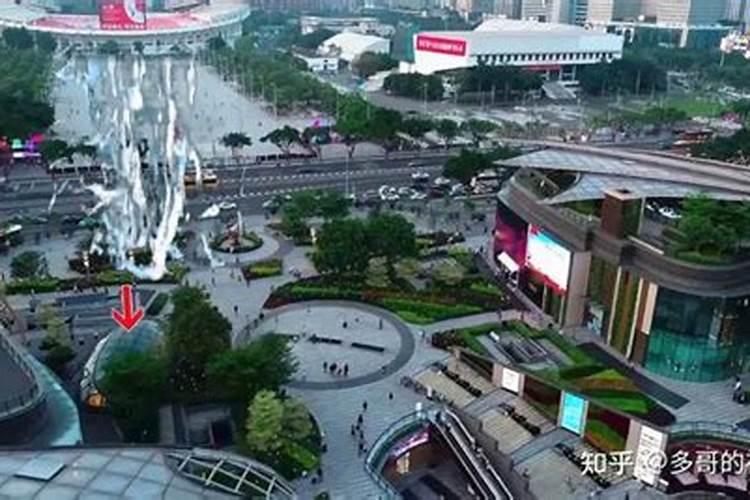 客厅适合种什么花最好、客厅适合种什么花最好看