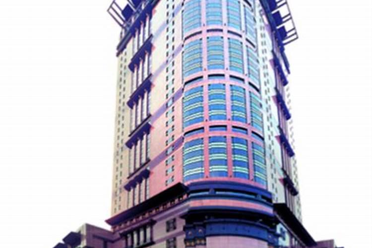 客厅买什么样的花好看、十种客厅最好养的花卉