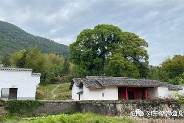 家门口有蛇是什么征兆家门口有蛇的解说