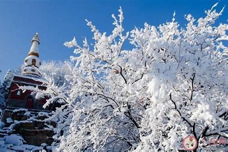 2022初雪的神仙文案 【分享】