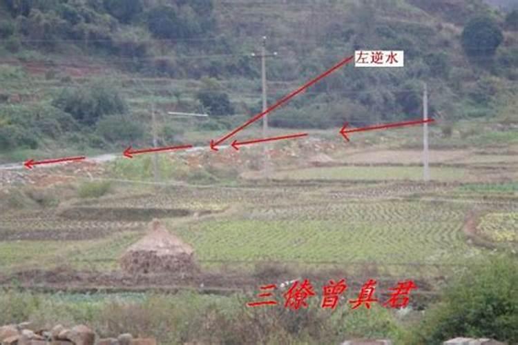 哪些装修软件适合非专业人士？