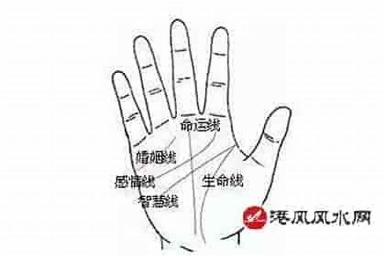 手相上可以看出祖坟风水吗