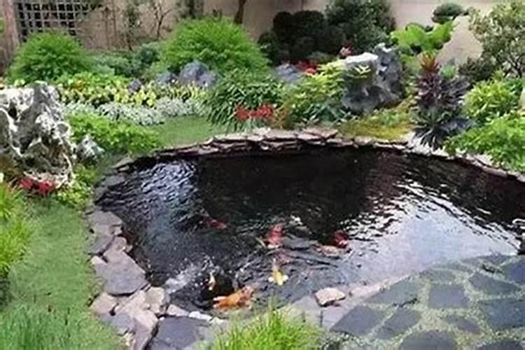 门口鱼池风水禁忌