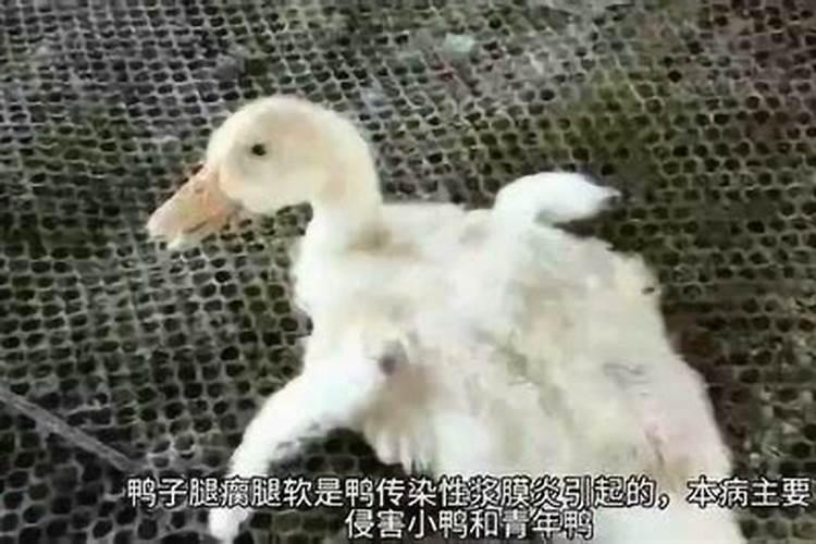 风水影响眼睛健康的主要问题在...