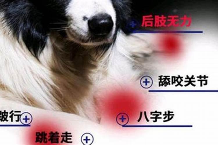 风水先生一言定风水宝地,道破天机惨遭天谴瞎了眼